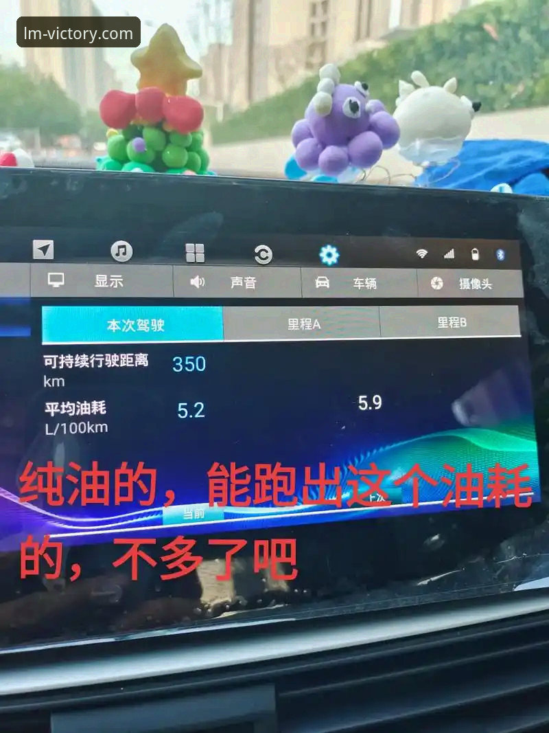如何在2024年顺利使用LM体育平台？一份详细的新手操作指南
